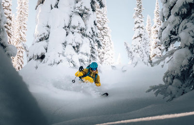 Xalibu skis : Recommandé dans le Powder buyer's guide 2024 du Ski Canada Magasine